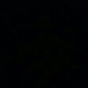 Meet your Posher, Evalynn